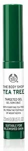 THE BODY BODY(ザボディショップ) ターゲットジェル TT