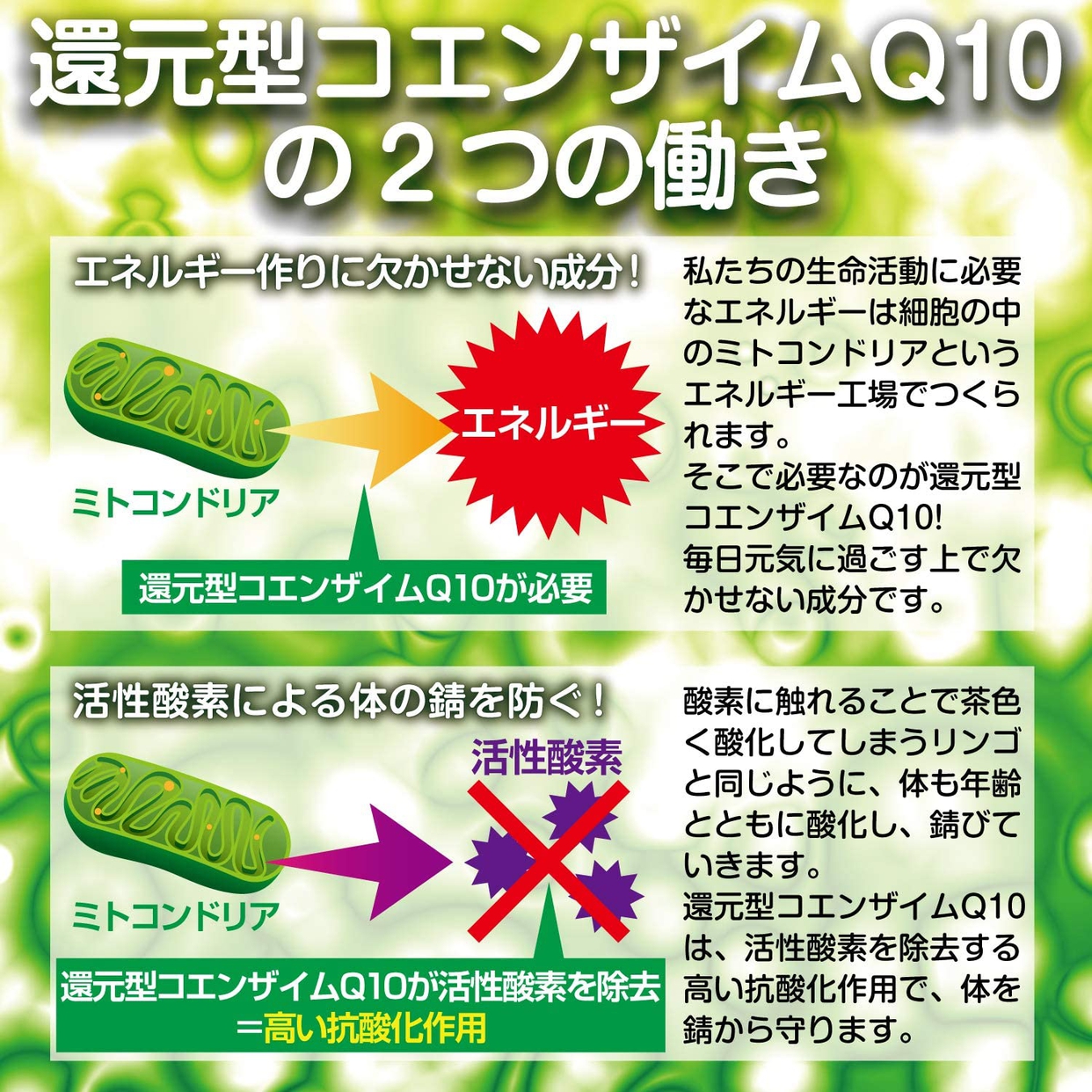 APRENDERS(アプレンダーズ) 還元型コエンザイムQ10の商品画像4 