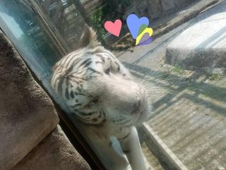ゆー / のプロフィール画像